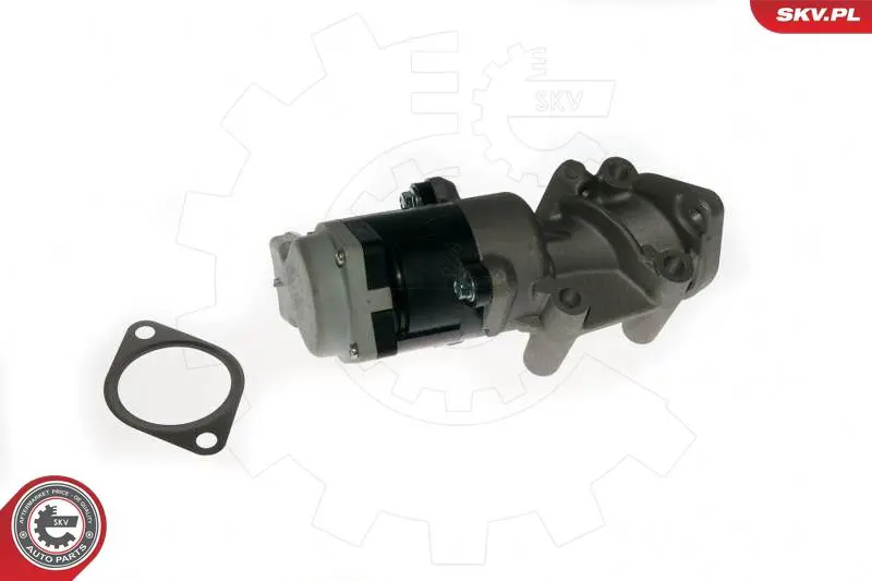 ESEN SKV 14SKV089 Клапан возврата ОГ