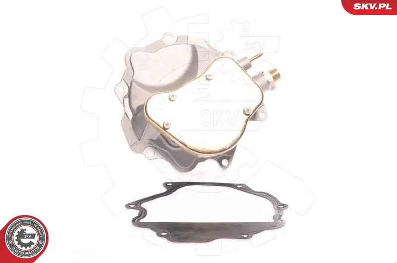 ESEN SKV 18SKV007 Вакуумный насос, тормозная