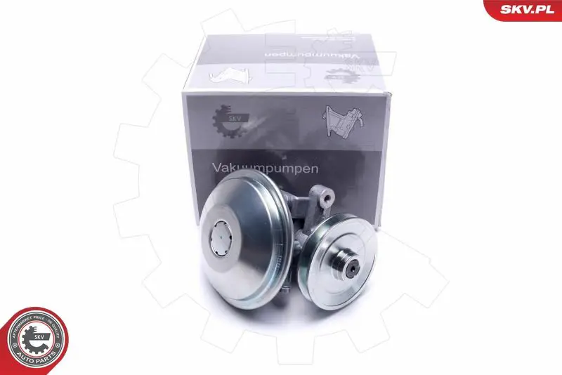 ESEN SKV 18SKV038 Вакуумный насос, тормозная