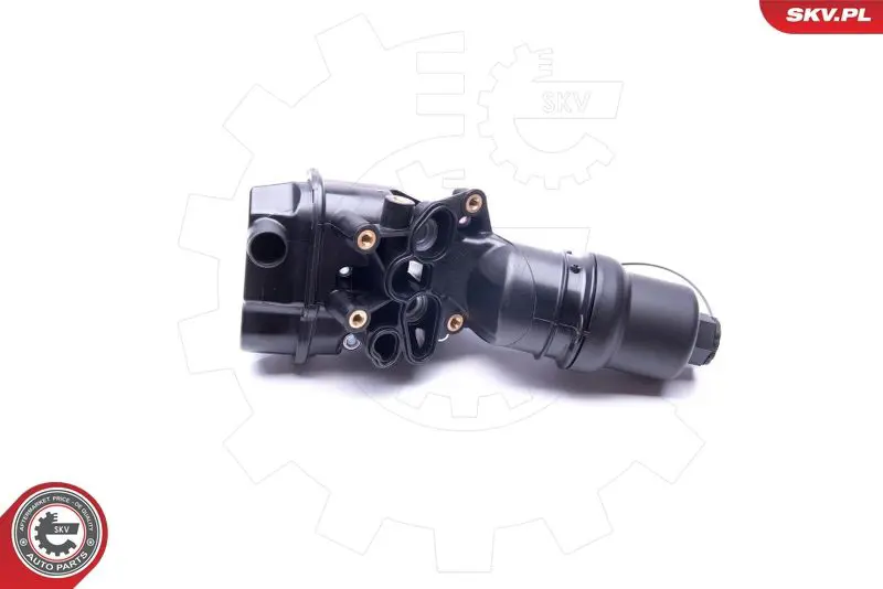 ESEN SKV 31SKV051 Корпус, масляный фильтр