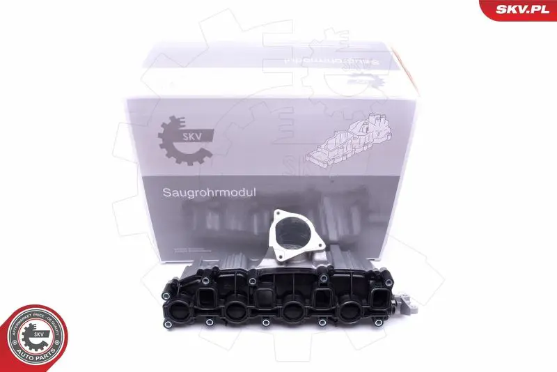 ESEN SKV 49SKV006 Модуль впускной трубы