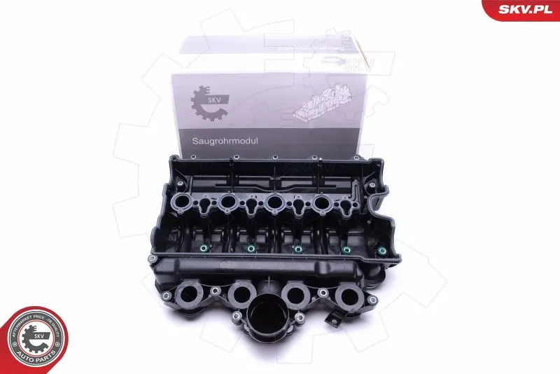 ESEN SKV 49SKV021 Модуль впускной трубы