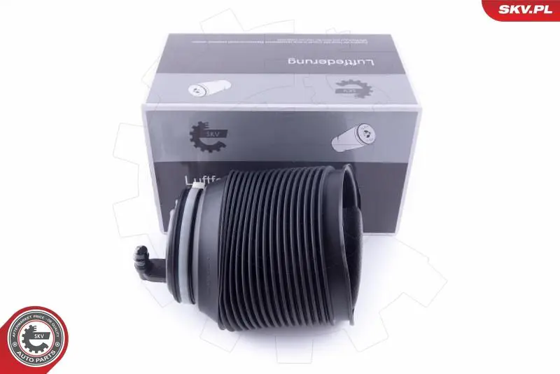 ESEN SKV 58SKV006 Пневматическая рессора,