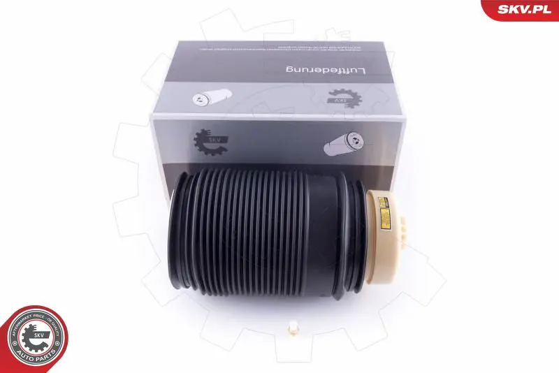ESEN SKV 58SKV011 Пневматическая рессора,