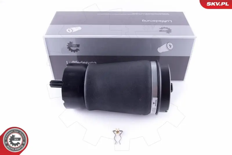 ESEN SKV 58SKV013 Пневматическая рессора,