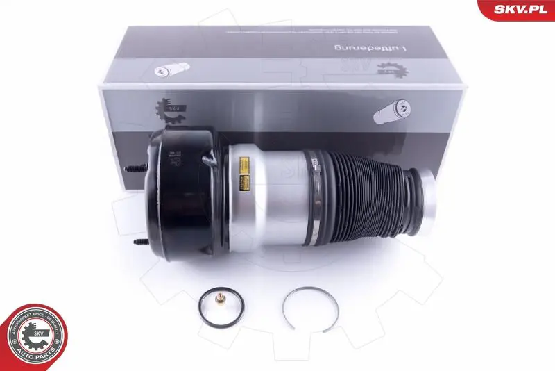 ESEN SKV 58SKV038 Пневматическая рессора,