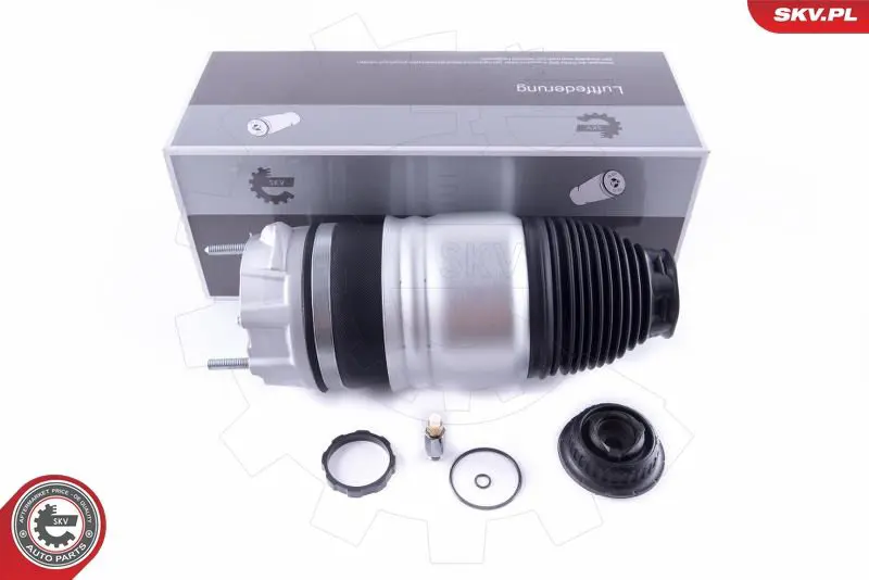 ESEN SKV 58SKV048 Пневматическая рессора,