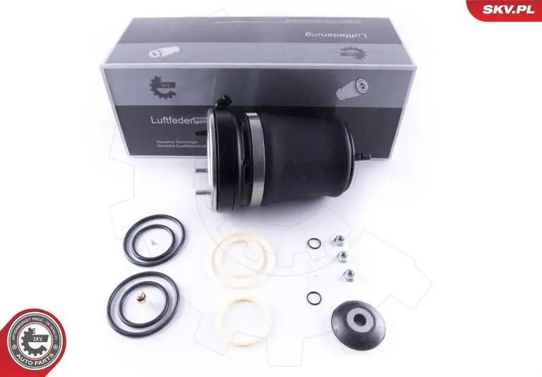 ESEN SKV 58SKV053 Пневматическая рессора,