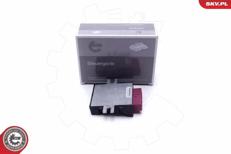 ESEN SKV 96SKV210 Управляющий прибор, топливный