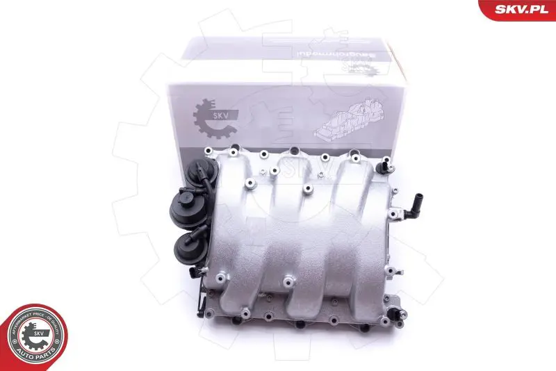 ESEN SKV 49SKV013 Модуль впускной трубы