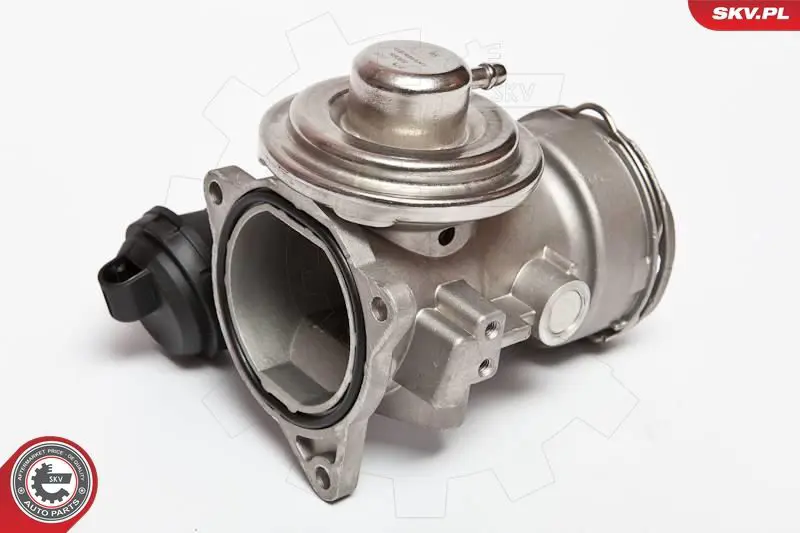 ESEN SKV 14SKV025 Клапан возврата ОГ