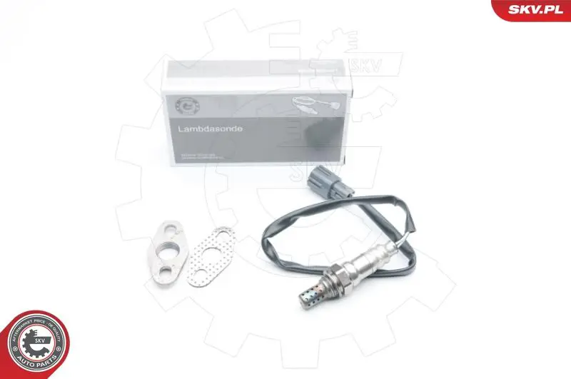 09SKV579 