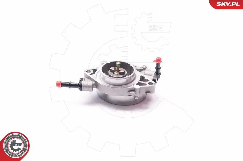 ESEN SKV 18SKV021 Вакуумный насос, тормозная
