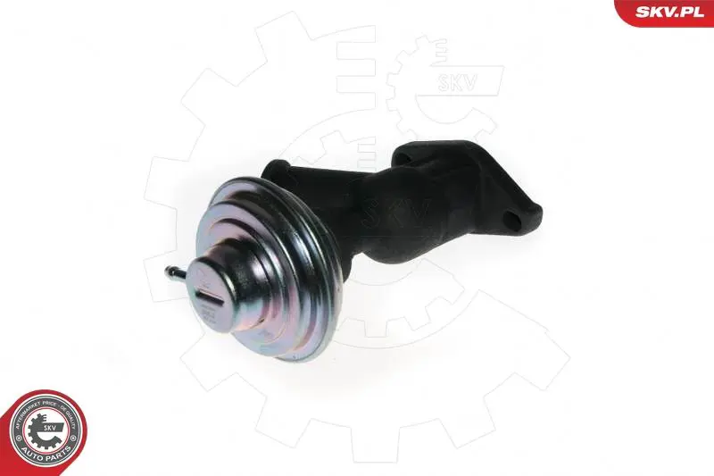 ESEN SKV 14SKV077 Клапан возврата ОГ