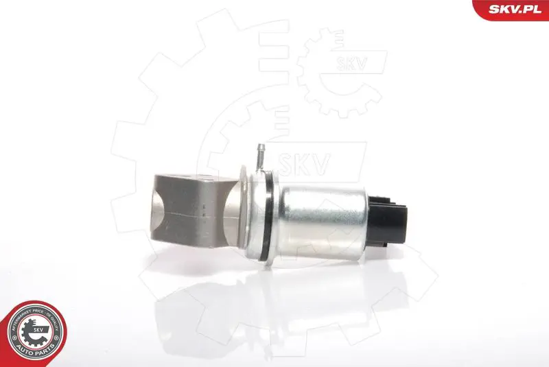 ESEN SKV 14SKV016 Клапан возврата ОГ