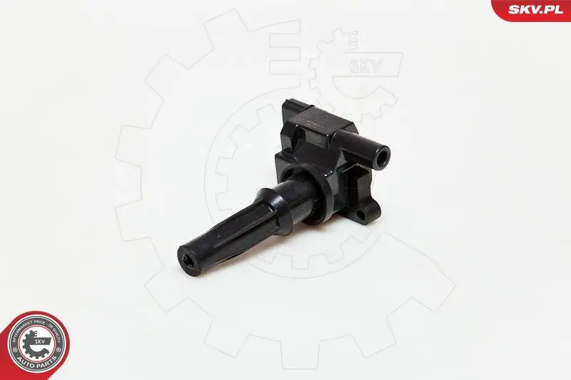 ESEN SKV 03SKV072 Катушка зажигания