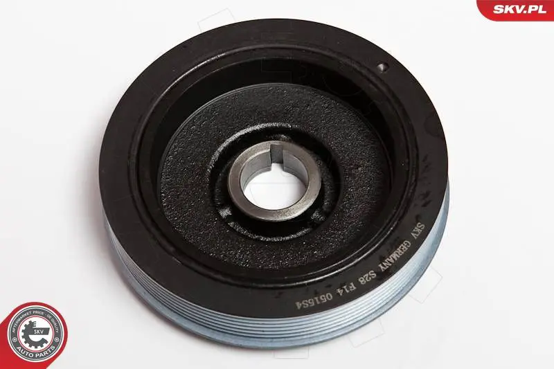 95SKV306 