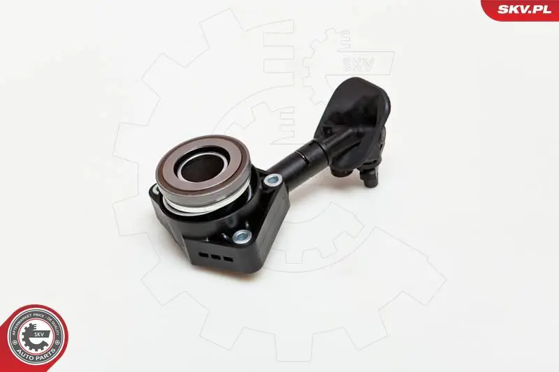 13SKV017 
