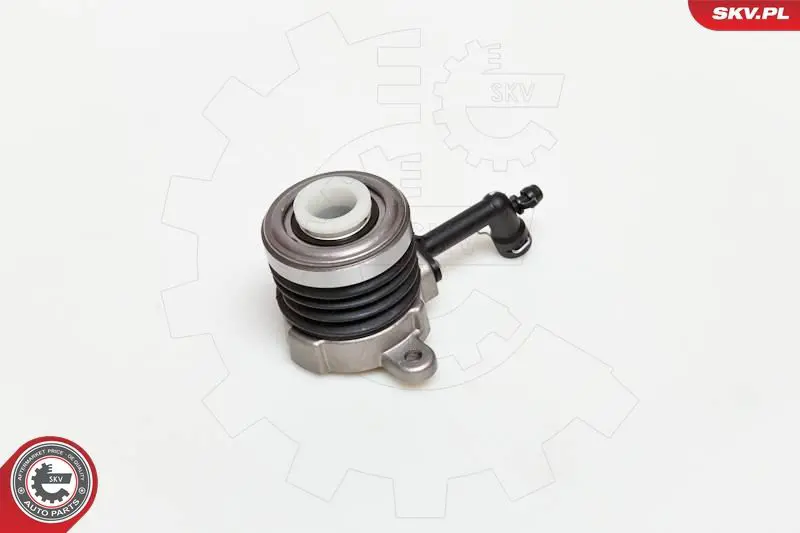 13SKV018 