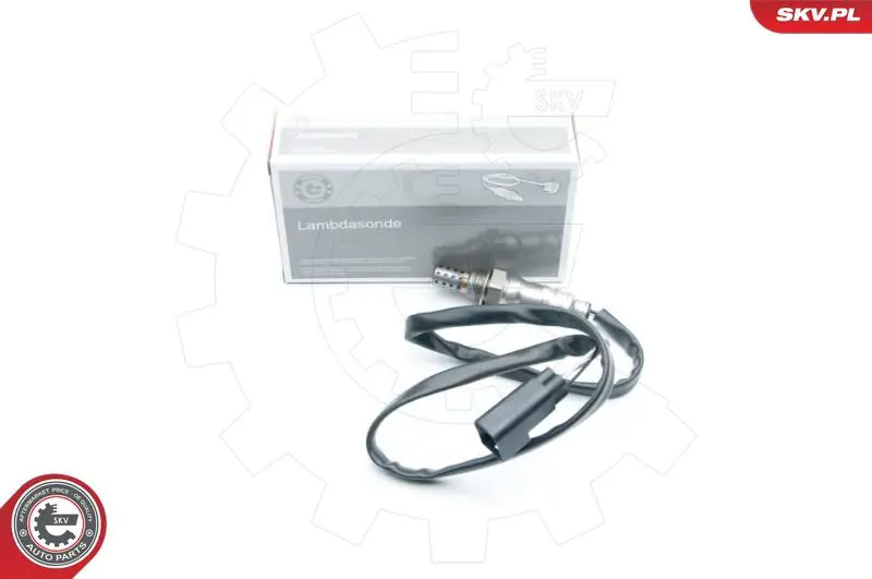 09SKV554 