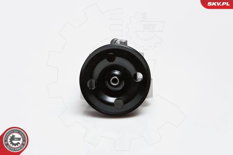 ESEN SKV 10SKV091 Гидравлический насос, рулевое