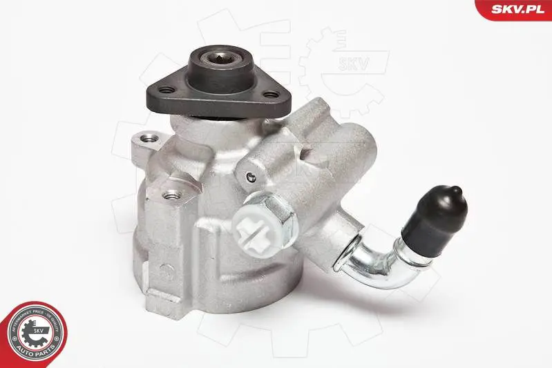 ESEN SKV 10SKV064 Гидравлический насос, рулевое
