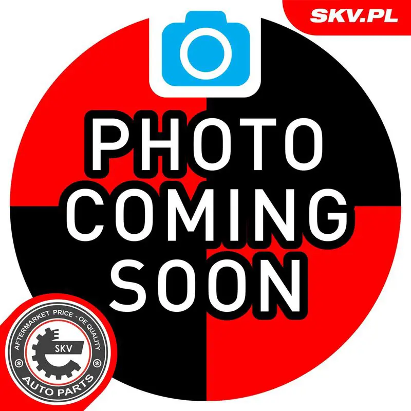87SKV009 