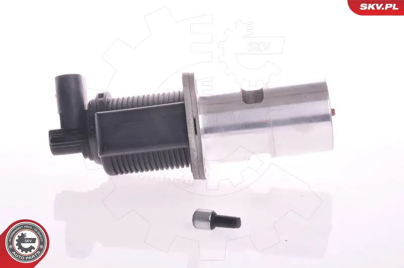 ESEN SKV 14SKV011 Клапан возврата ОГ