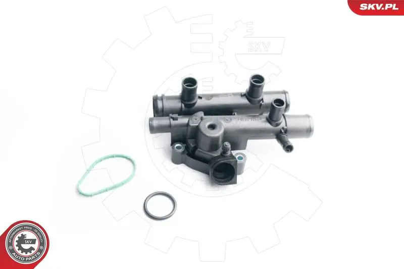 ESEN SKV 20SKV039 Термостат