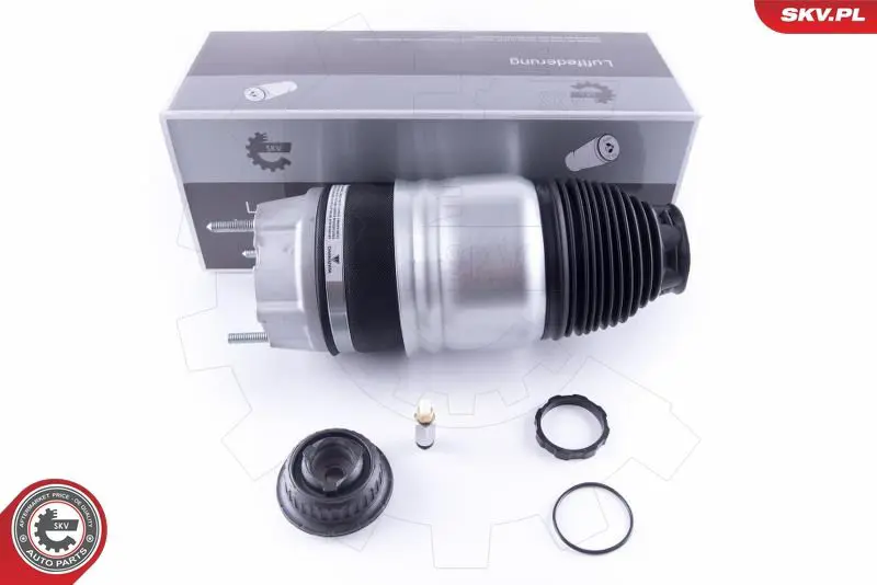 ESEN SKV 58SKV047 Пневматическая рессора,