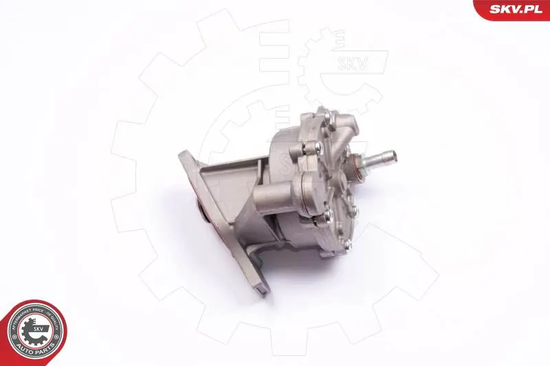 18SKV013 Вакуумный насос, тормозная