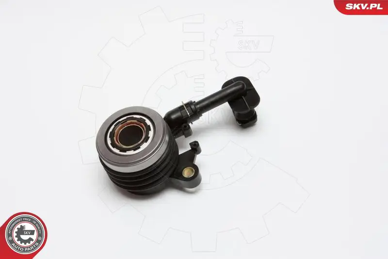 13SKV015 