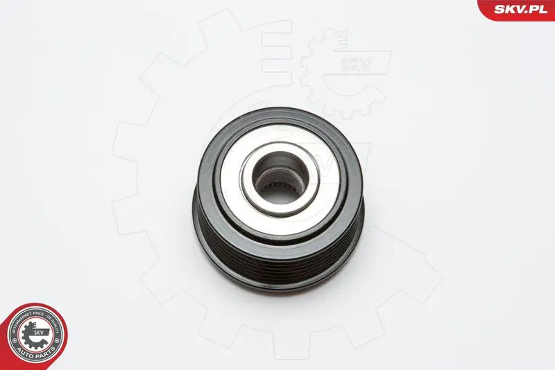 11SKV036 