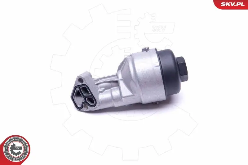 ESEN SKV 31SKV137 Корпус, масляный фильтр