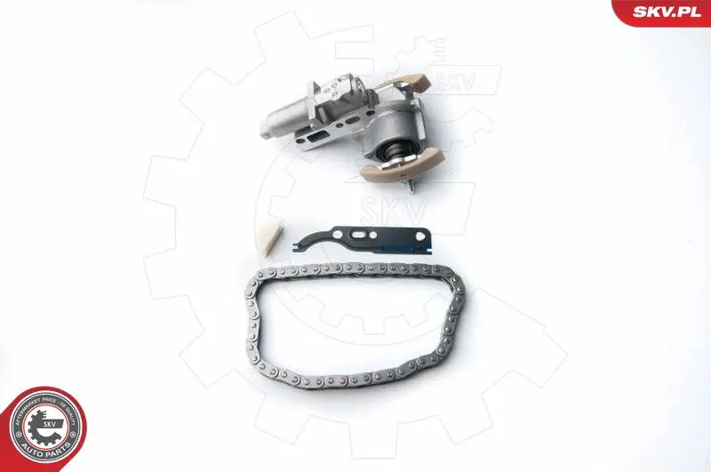 ESEN SKV 21SKV030 Комплект цели привода