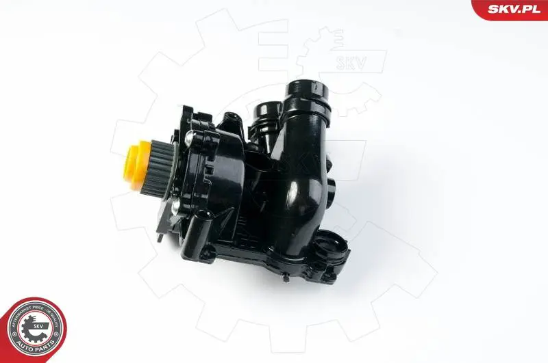 ESEN SKV 22SKV001 Насос рециркуляции воды,