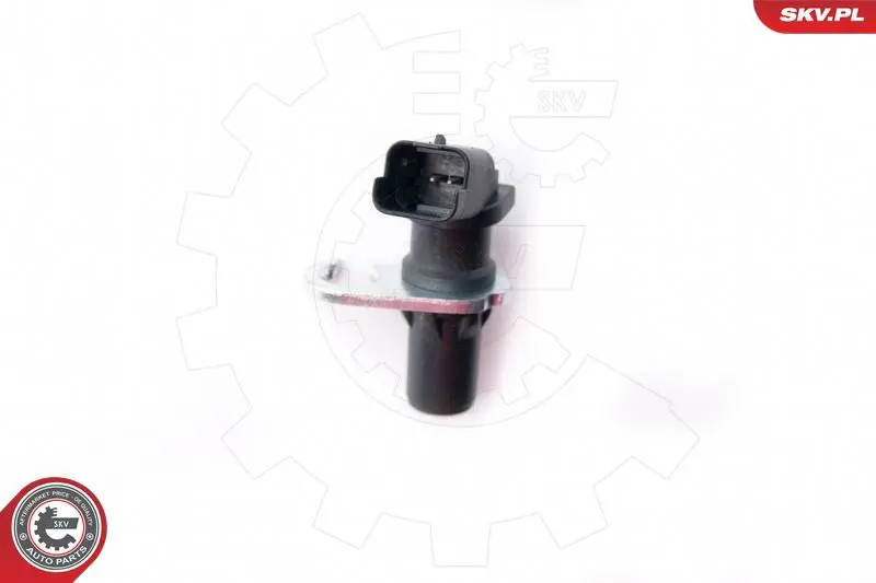 ESEN SKV 17SKV309 Датчик импульсов