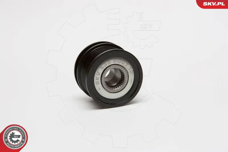 11SKV001 