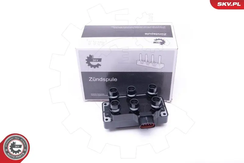 ESEN SKV 03SKV252 Катушка зажигания