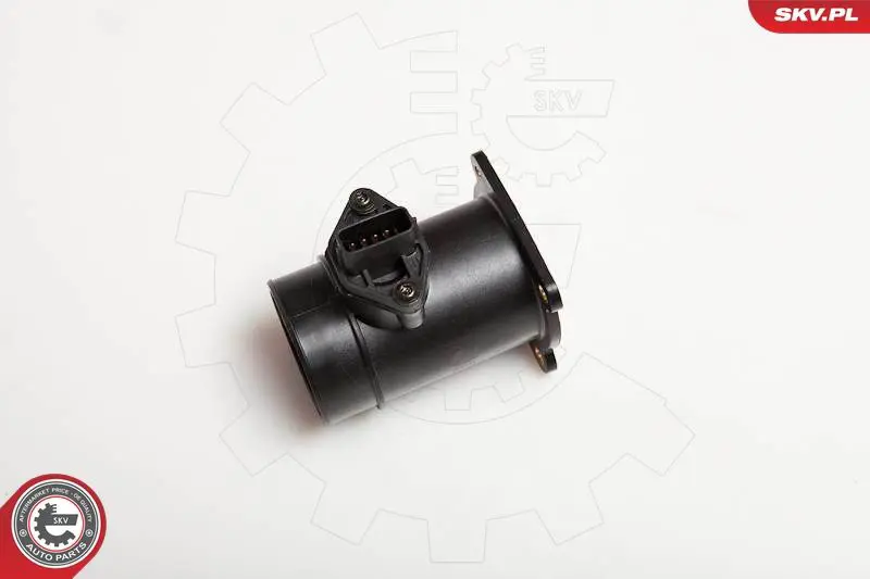 ESEN SKV 07SKV110 Расходомер воздуха