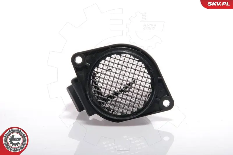 ESEN SKV 07SKV125 Расходомер воздуха