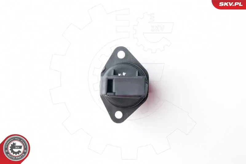 ESEN SKV 07SKV502 Расходомер воздуха