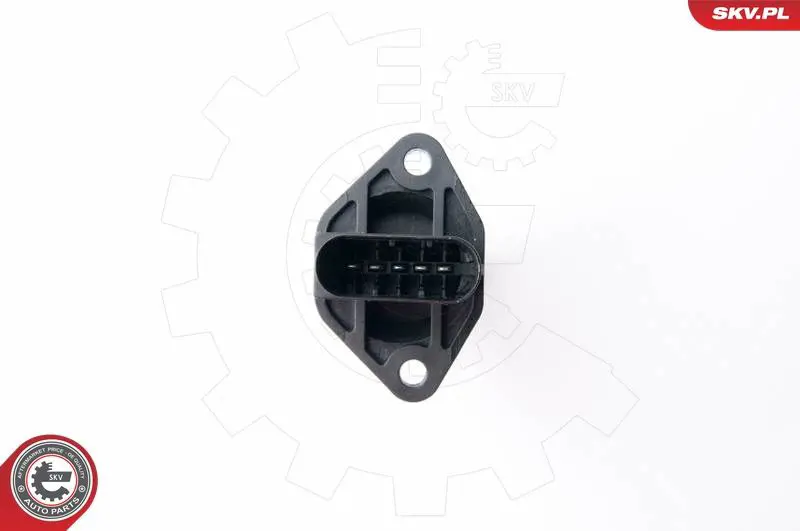 ESEN SKV 07SKV503 Расходомер воздуха