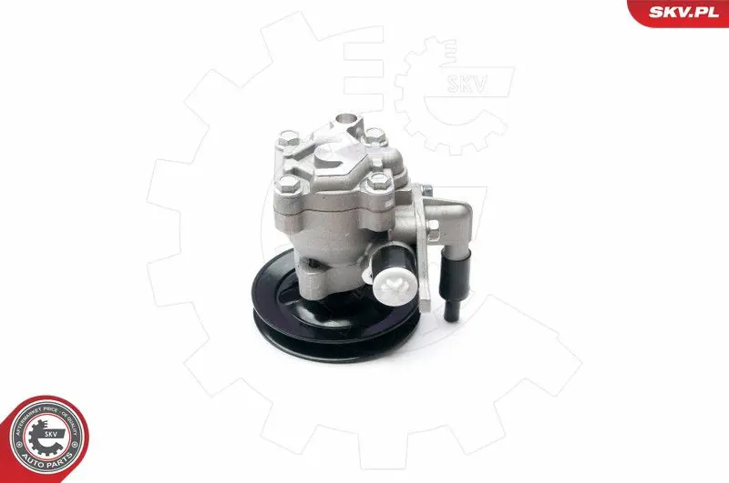 ESEN SKV 10SKV204 Гидравлический насос, рулевое