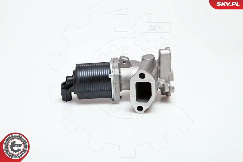ESEN SKV 14SKV014 Клапан возврата ОГ