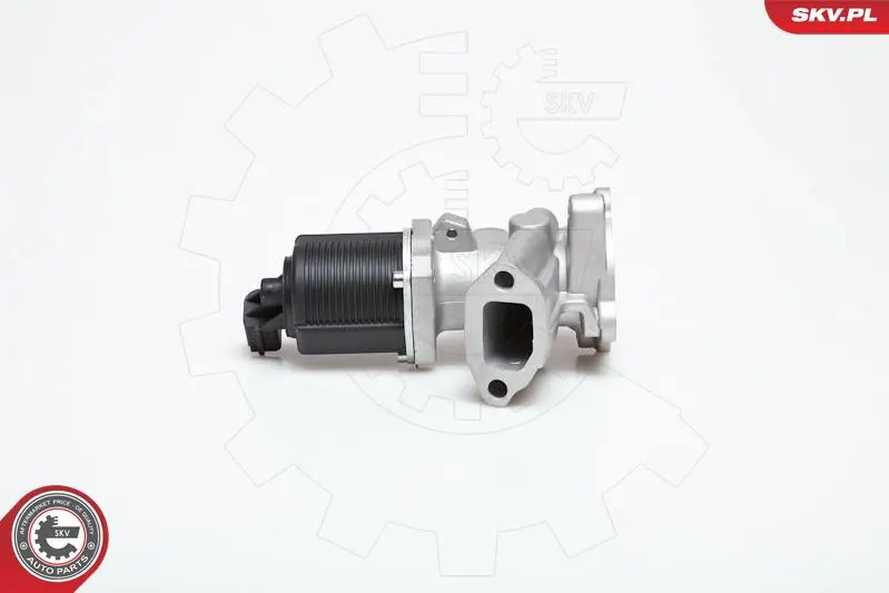 ESEN SKV 14SKV031 Клапан возврата ОГ