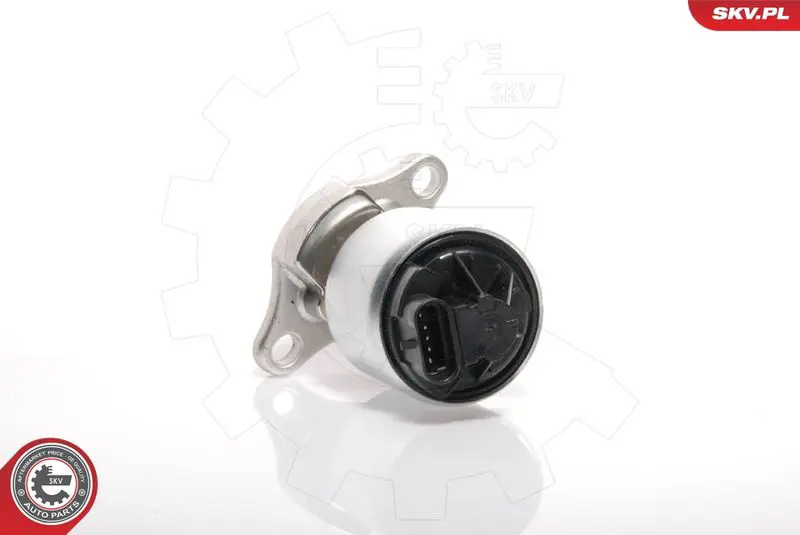 ESEN SKV 14SKV035 Клапан возврата ОГ