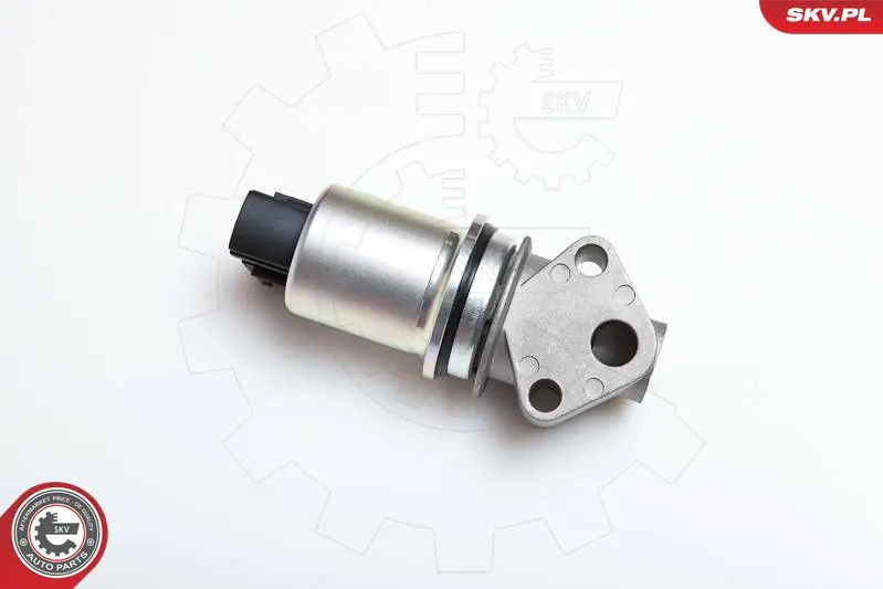 ESEN SKV 14SKV043 Клапан возврата ОГ