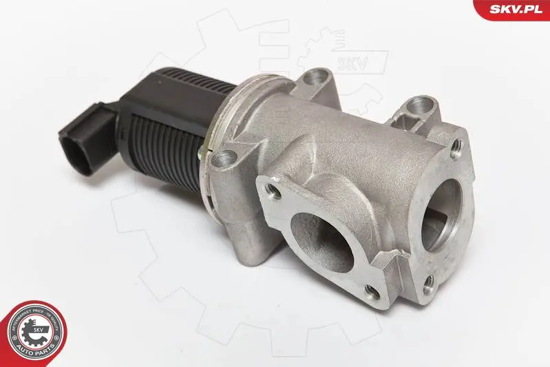 ESEN SKV 14SKV055 Клапан возврата ОГ