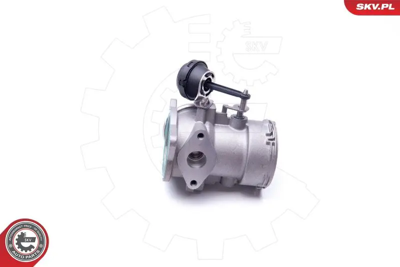 ESEN SKV 14SKV091 Клапан возврата ОГ